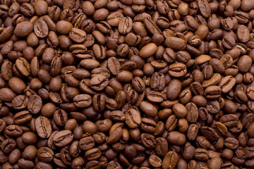 coffee beans in macro