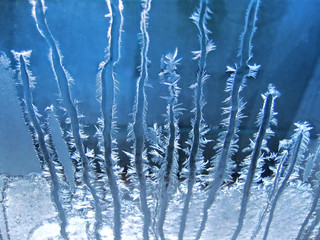 Frosty natural pattern on window
