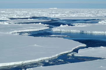 Vlies Fototapete Antarktis Offenes Wasser mit Packeis