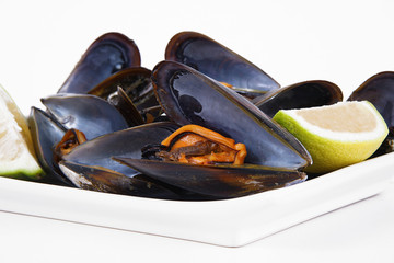 cozze