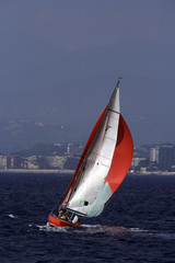Fototapeta premium Sailing