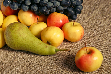 Apples, pear and grapes
