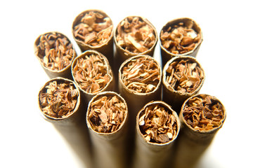 Cigar