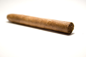 Cigar