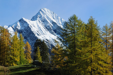 Mountain autumn scenic