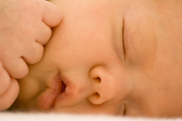 Newborn Baby Sleeping