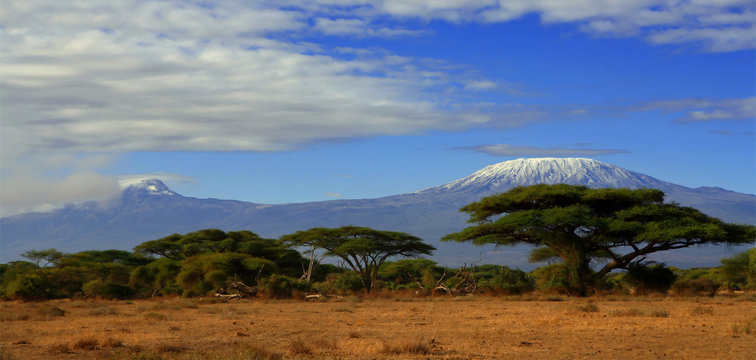 Kilimanjaro Tanzania snow capped under cloudy blue skies captured whist on safari in Africa Kenya.