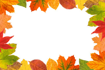 Herbstblätter Rahmen