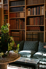 private library shelves with books