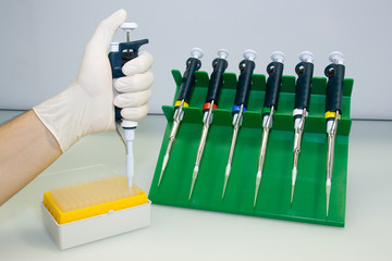 laboratory equipment, pipettes