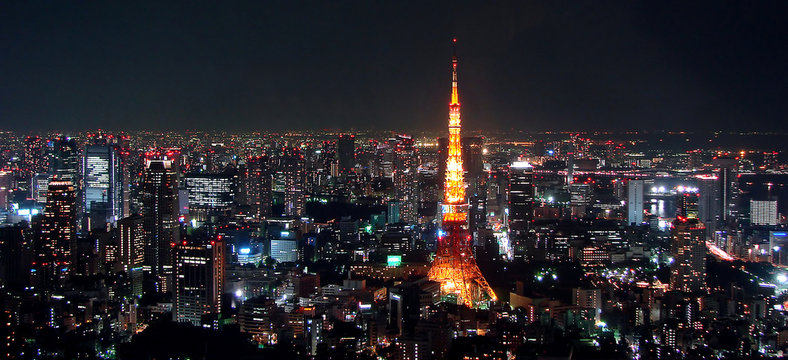 Tokyo View By Night