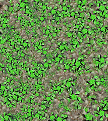 Abstract green flower