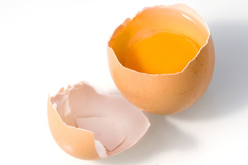 broken egg