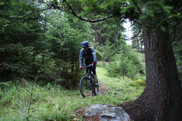 Fototapeta premium MTB Downhill No. 2