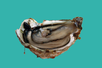 huitre crue ouverte