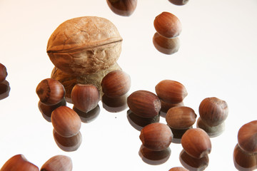 dutch nuts