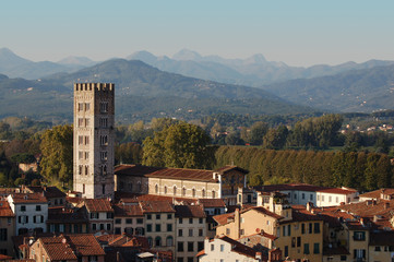 Lucca da Torre Guinigi 2 - obrazy, fototapety, plakaty
