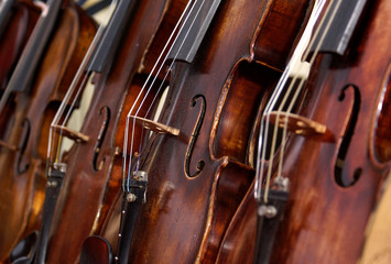 Naklejka premium Violinen