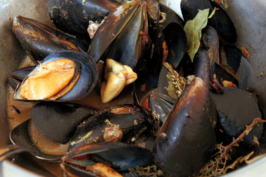 Moules marini&egrave;res