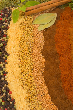 Spices and Herbs