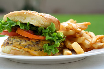 Cheeseburger and Fries