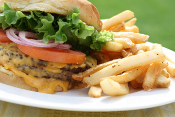 Hamburger and Fries