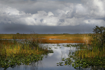 EVERGLADE WATER WAY