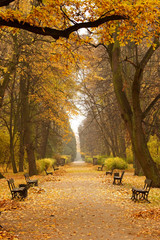 Fototapeta na wymiar Autumn in park