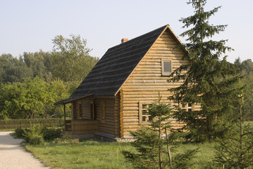 Plakat dom z drewna