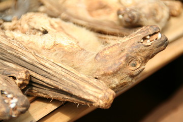 fetisch-stand in allada