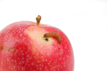 Apple with defect