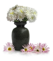 Bouquet of colorful chrysanthemum in vase
