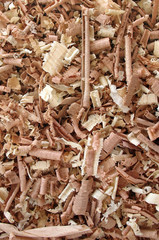 Wood Shavings 6