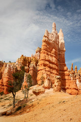 Naklejka premium Colorful sandstone spires, Bryce Canyon National Park, Utah
