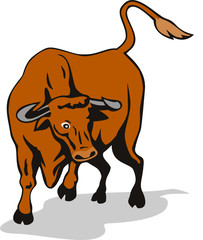 Raging bull