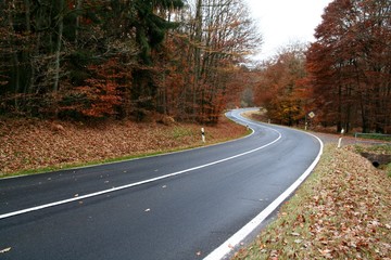 Strasse im Herbst
