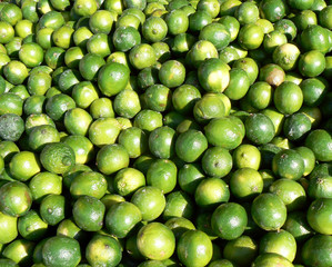 Lots of Limes
