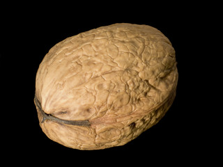 Obraz premium Walnut