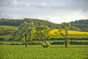 Winchcombe The Cotswolds Gloucestershire The Midlands England