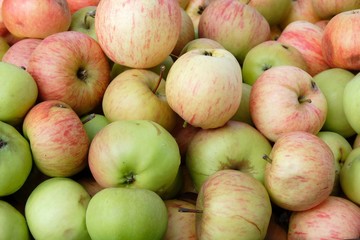 background of color apples