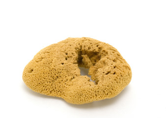 natural sponge