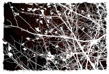 floral style textures