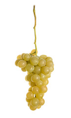 Bunch of grapes