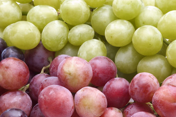 grape  background