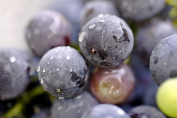grape