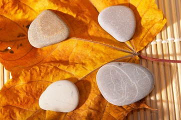 autumn leaf and four stones