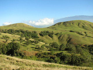 Crumpled Hawaiian Landscape