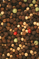 Peppercorns textured backgound