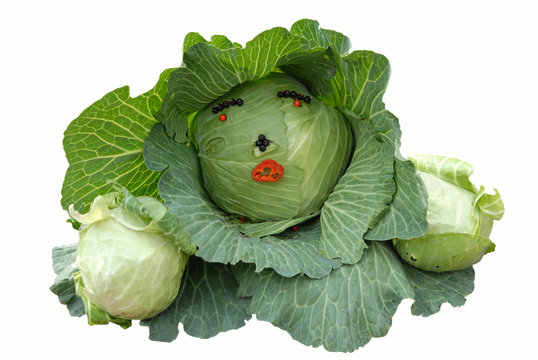 Effective cabbage
