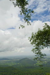 Obraz premium Hanging Bamboo